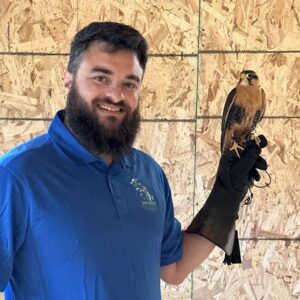 A falconer with small falcon perched on hand
